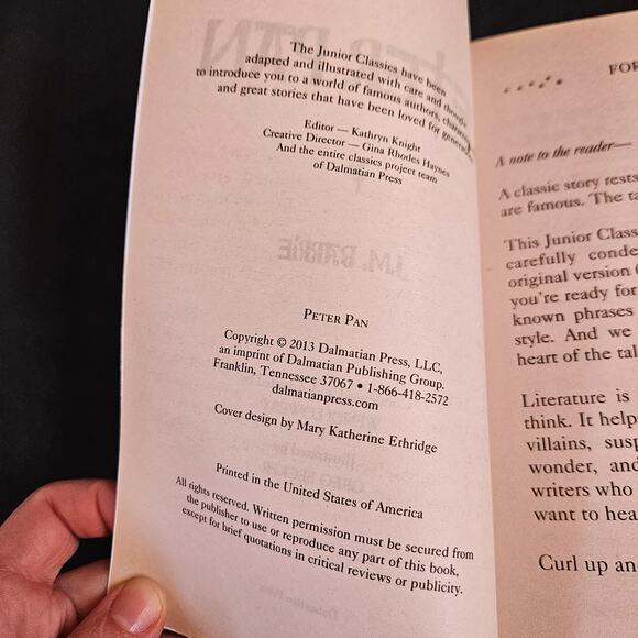 Dalmation Press Books Lot of 3 Pollyanna Peter Pan and Wizard of Oz Classics - Picture 8 of 11